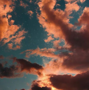 Meet your Posher, Kendalyn